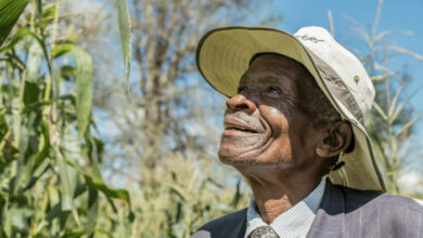 Treffen Sie die Klimahacker Malawis