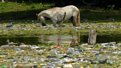 UN: Die Zeit im Kampf gegen die Plastikverschmutzung wird knapp