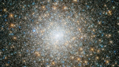 Das Webb-Teleskop entdeckt Anzeichen der größten Sterne des Universums