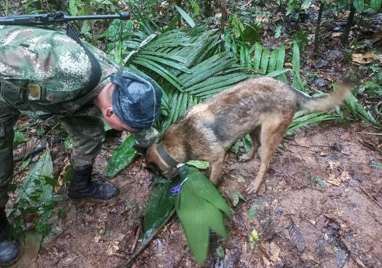Ein von den kolumbianischen Streitkräften veröffentlichtes Foto zeigt Soldaten und Spürhunde bei der Suche nach den vermissten Kindern Ein von den kolumbianischen Streitkräften veröffentlichtes Foto zeigt Soldaten und Spürhunde bei der Suche nach den vermissten Kindern