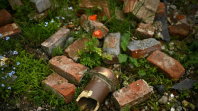 Auf der Londoner Chelsea Flower Show wächst Unkraut