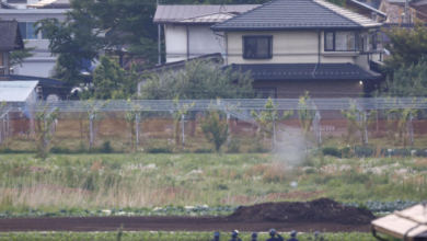 Vier Tote bei seltener Schießerei in Japan