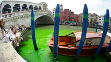 Der Canal Grande in Venedig färbt sich phosphoreszierend grün