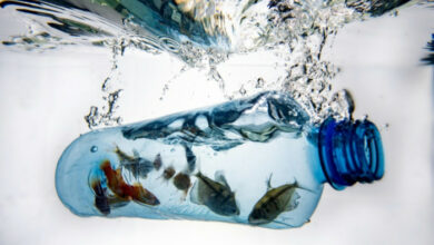 Plastikverschmutzung: Vertragsverhandlungen gehen ins Detail