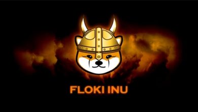 Aus diesem Grund ist der Preis von Floki Inu heute um über 50 % gestiegen