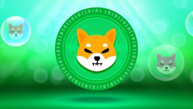 Das Dienstprogramm DigiToads hebt sich von Shiba Inu und Pepe ab, da die Nachfrage nach Meme-Münzen wächst