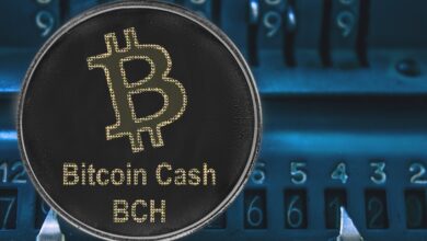 Der Preis von Bitcoin Cash bleibt vor der Entscheidung der Fed ruhig