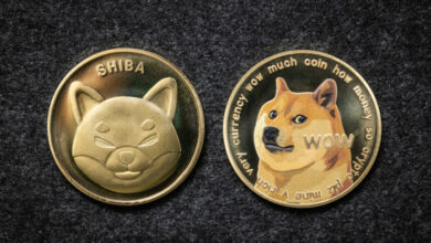 Shiba Inu & Dogecoin Price Chart