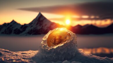 Ein Bericht über die Kapitalflucht von Krypto