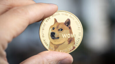 Dogecoin cryptocurrency physical coin held between two fingers.