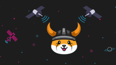 Floki Inu Rallies 40% In 24 Hours: Here's Why