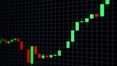 Justin Sun Meme Coin