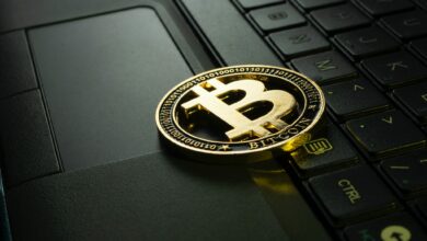 Bitcoin (BTC)