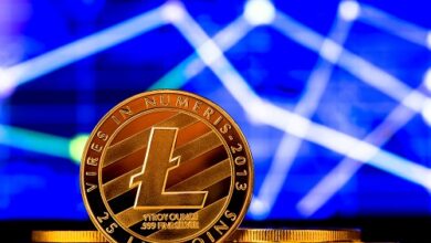 LTC könnte auf 10 % von BTC steigen