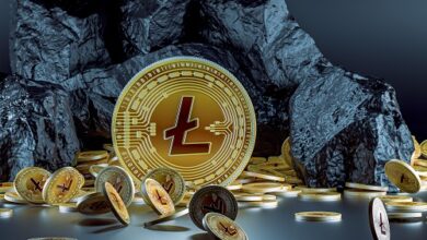 Litecoin und Avalanche siehe Zuflüsse, aber die Bitcoin-Abflüsse steigen