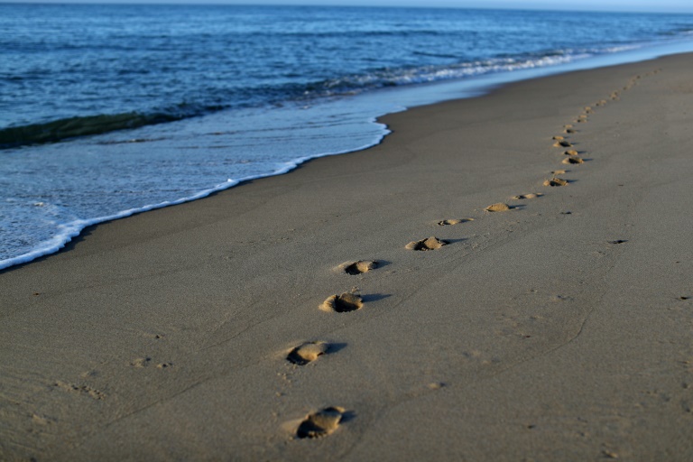 Überall, wo wir hingehen, scheiden Menschen genetisches Material aus, was Wissenschaftler durch die Sammlung von DNA aus einem Fußabdruck am Strand zeigten. Überall, wo wir hingehen, scheiden Menschen genetisches Material aus, was Wissenschaftler durch die Sammlung von DNA aus einem Fußabdruck am Strand zeigten.
