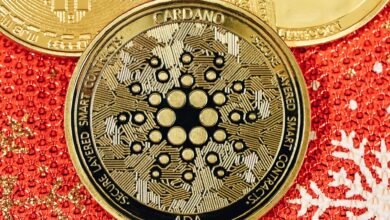 Cardano