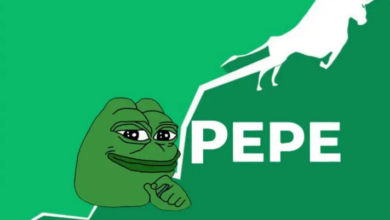 Pepe schüttelt die kontroversen Ansichten von CZ zu Meme Coins ab und steigt um 709 %