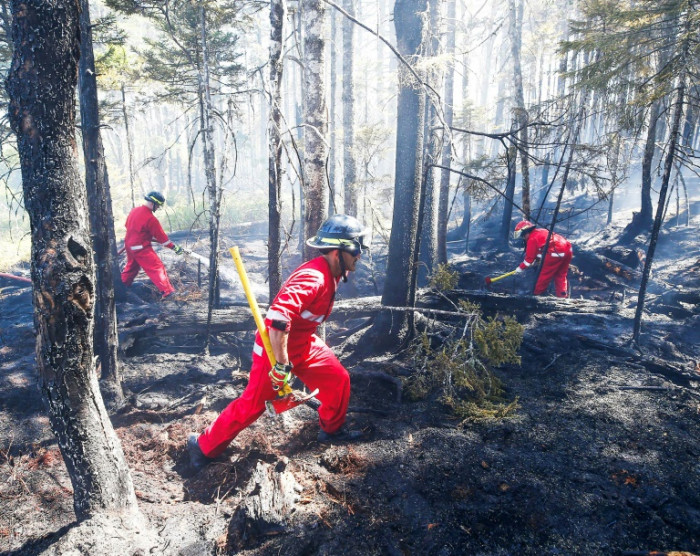 Feuerwehrleute im Osten Kanadas bekämpfen „beispiellose“ Brände