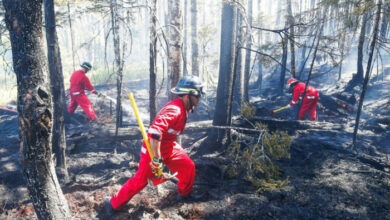 Feuerwehrleute im Osten Kanadas bekämpfen „beispiellose“ Brände