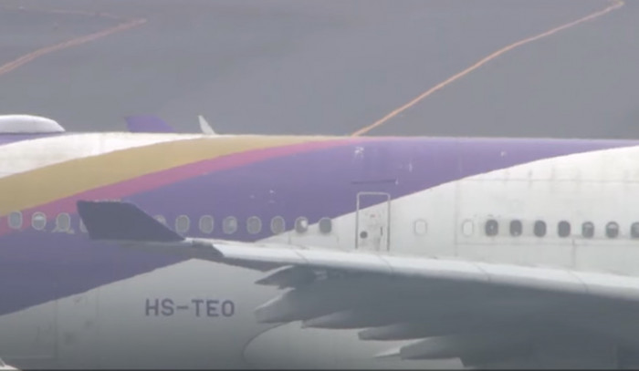 Start- und Landebahn am Flughafen Tokio nach Flugzeugkontakt gesperrt
