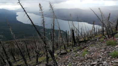 In Montana beginnt der bahnbrechende Jugend-Klimaprozess