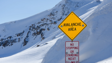 Avalanche