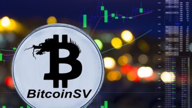 Bitcoin-Hard Forks, Bitcoin Cash und Bitcoin SV stehen mit zweistelligen Zuwächsen im Rampenlicht