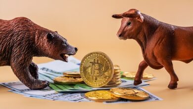 Bitcoin-Preis fällt nach Fed-Entscheidung unter 25.000 US-Dollar – was kommt als Nächstes?
