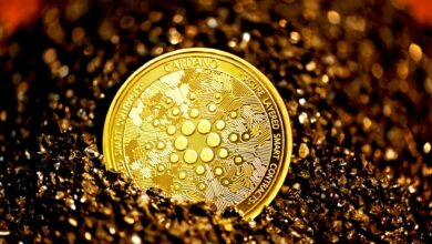 Cardano