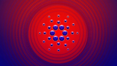 Cardano