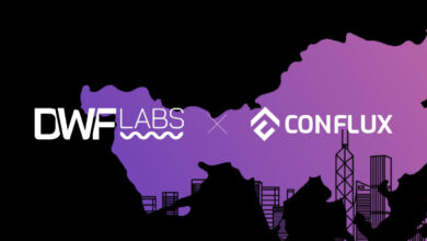 DWF Labs verdoppelt sein Engagement bei Conflux mit einer Investition von 28 Millionen US-Dollar