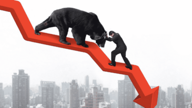 Bitcoin bear