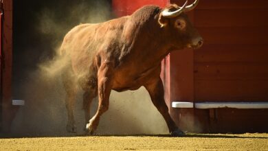 Der technische Ausbruch deutet auf einen Anstieg auf 34.000 US-Dollar hin