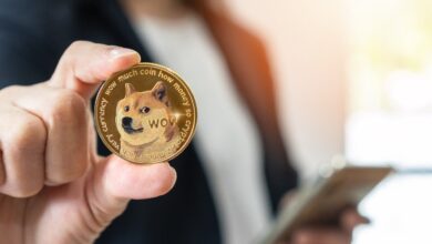 Ein seltenes Muster deutet auf einen DOGE-Rückgang von 20 % hin