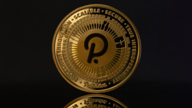 Polkadot erreichte ein neues Jahrestief. Alle Gewinne von 2023 sind verschwunden, da die Bären weiterhin DOT/USD verkaufen.