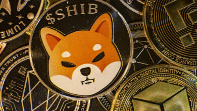 Shiba Inu SHIB