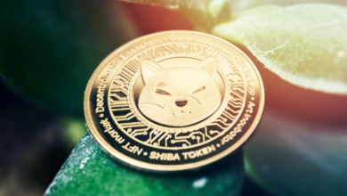 Shiba Inu zieht durch Binance-Partnerschaft neue Benutzer in Europa an