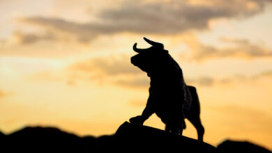 Stacks (STX) Rallies By 29% In The Past 7-days. Here’s Why