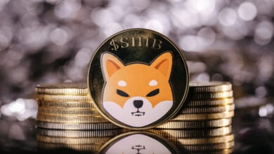 Shiba Inu SHIB