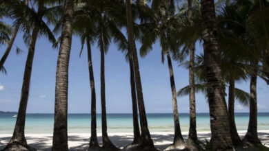 Philippinen beenden Vertrag mit Werbeagentur nach Fiasko mit Tourismusvideos