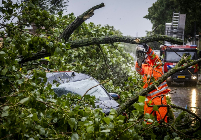 „Stärkster Sommersturm“ erschüttert die Niederlande
