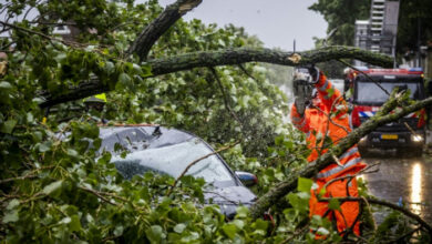 „Stärkster Sommersturm“ erschüttert die Niederlande