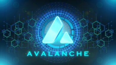 Avalanche kündigt 50 Millionen US-Dollar für den Kauf von tokenisierten Vermögenswerten an