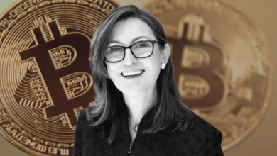 Cathie Wood Bitcoin