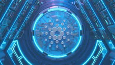 Cardano