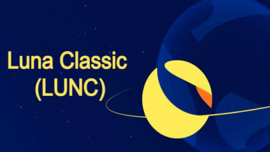 Das Gleichgewicht des Terra Luna Classic-Gemeinschaftspools ist in Gefahr. Können sie den Absturz überleben?