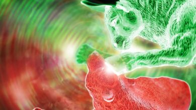 Das Spothandelsvolumen an den CEXs stieg im Juni um 16 % auf 575 Milliarden US-Dollar