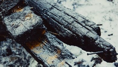 Der BALD-Preis stürzt ab, da der Betreiber ETH-Liquidität entzieht