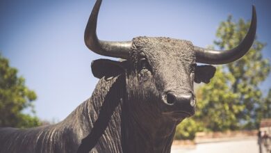 Der Optimismus-Preis steigt um 7 %, nachdem 24 Millionen OP-Token freigeschaltet wurden